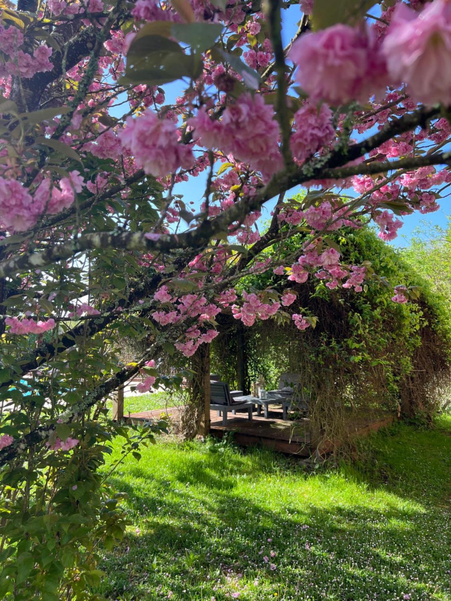 Saint-Romain  La Colline De Tilleul - Les Deux Puits - Cosy Cottage With Swimming Pool Near Aubeterre מראה חיצוני תמונה